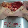 Fichero_masna