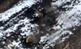 UA drone drops two grenades on two RU soldiers