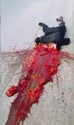 Wow...Amazing Video shows  Heart STILL Beating on the Pavement,  Head Popped like a Cherry 