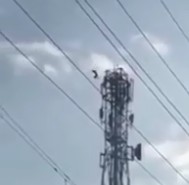 Naked Mentally Ill Man Commits Suicide Jumping From Power Lines