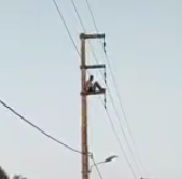 Another Angle of Suicidal Electrocution 