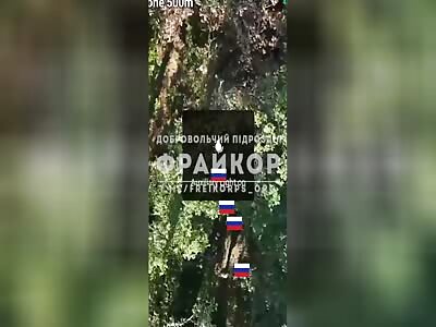 Grenade dropped on Russians