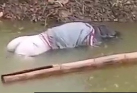 Drowned Woman Floating in River 