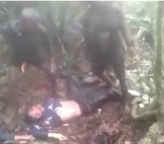 Dude Dismembered by West Papua National Army Terrorists in Indonesia