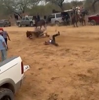 Drunk Dude Run over by Horse During Race... Dies!