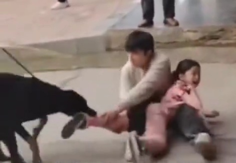 Poor girl attacked by dog