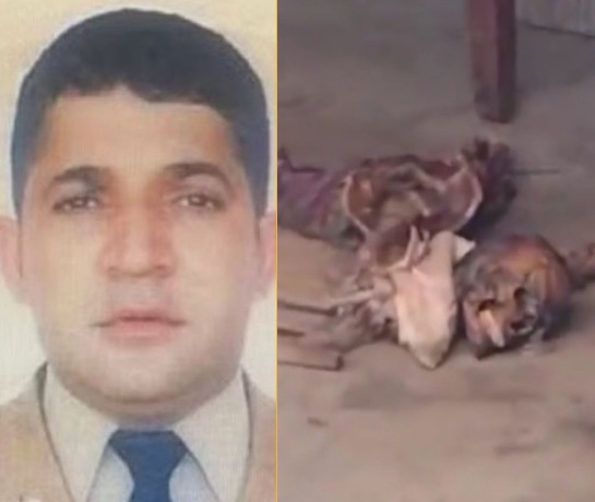 Brazilian Military Police die and his body is devoured by his own dogs