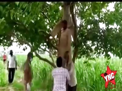 man commits suicide by hanging
