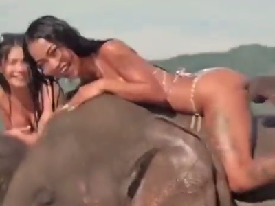 THIS ELEPHANT COMES VERY CLOSE TO MOLESTING THIS ASIAN GIRL