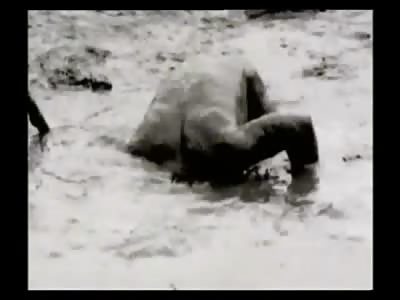 Desperate and Pathetic Man Attempts Suicide by....Mud, yea not Kidding
