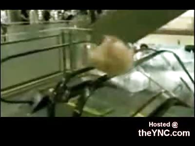 Dare Devil Young Girl Spins on an Escalator